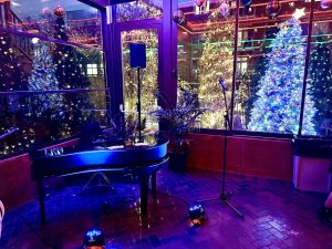 Music for Fine Dining Experiences Includes Mini Grand Piano Shell