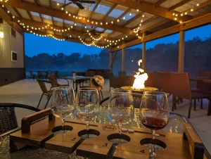 a group of wine glasses on a table with a fire in the background